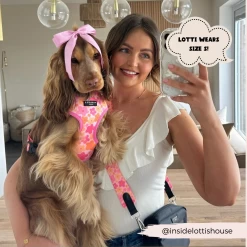 Summer Bloom Adjustable Neck Harness, Lead & Collar Bundle -Cocopup London 199 a8805d08 9ceb 4afc 8b18 bc20aa61906a