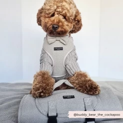 Brown Tweed Adjustable Neck Harness -Cocopup London 19 8420e3a8 9f0e 49c3 b52a 5e8e723a8e1d