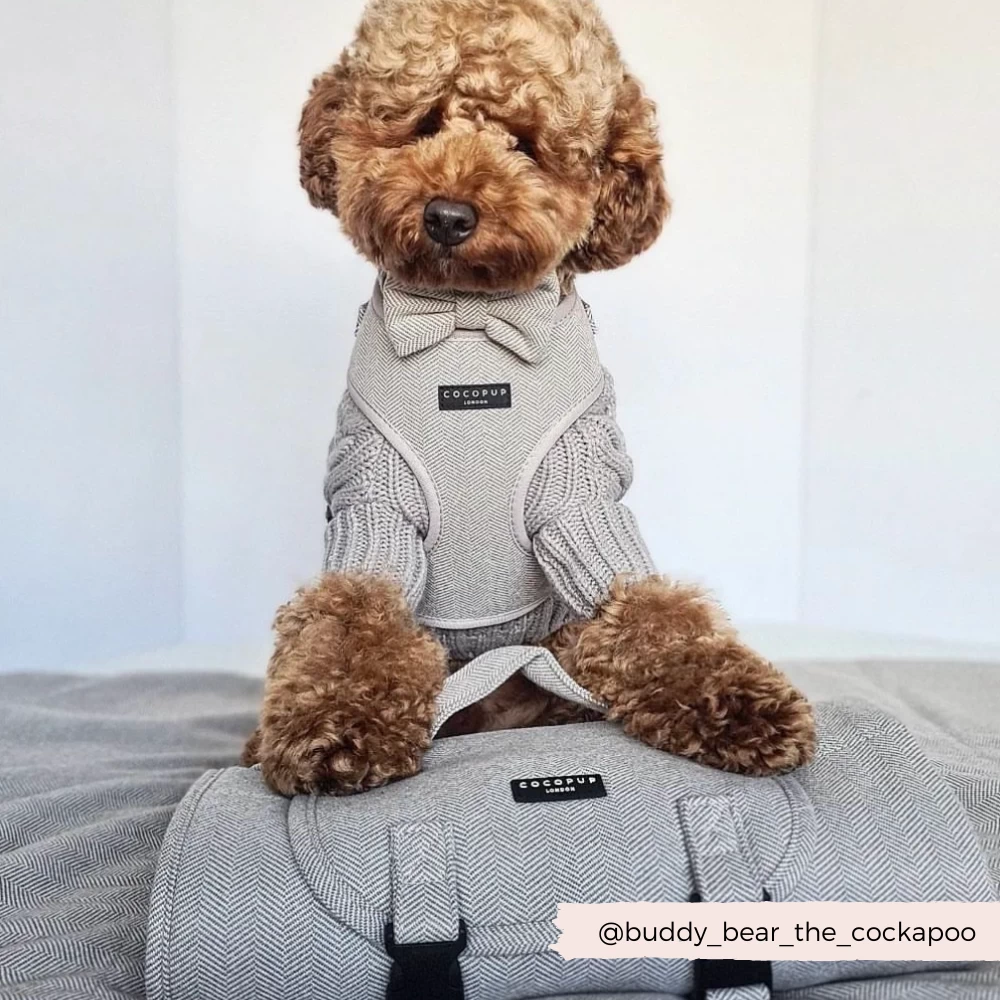 Brown Tweed Bow Tie 8 Brown Tweed Bow Tie - Image 6