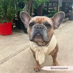 Festival Crochet Sailor Bow Tie -Cocopup London 19 b605bc43 a8b9 419a a5f2 78fadf54844d