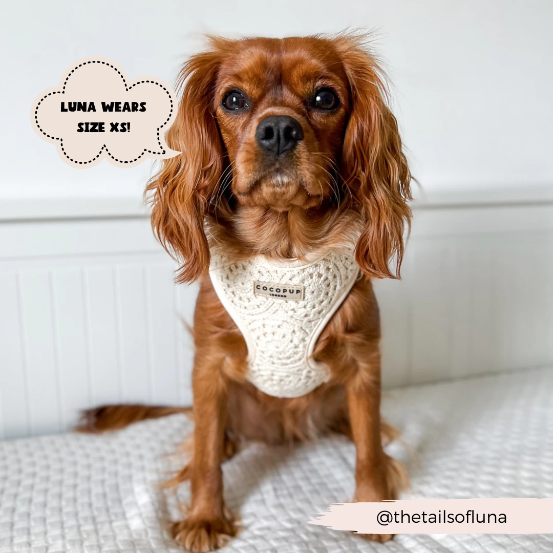 Festival Crochet Adjustable Neck Harness 8 Festival Crochet Adjustable Neck Harness - Image 6