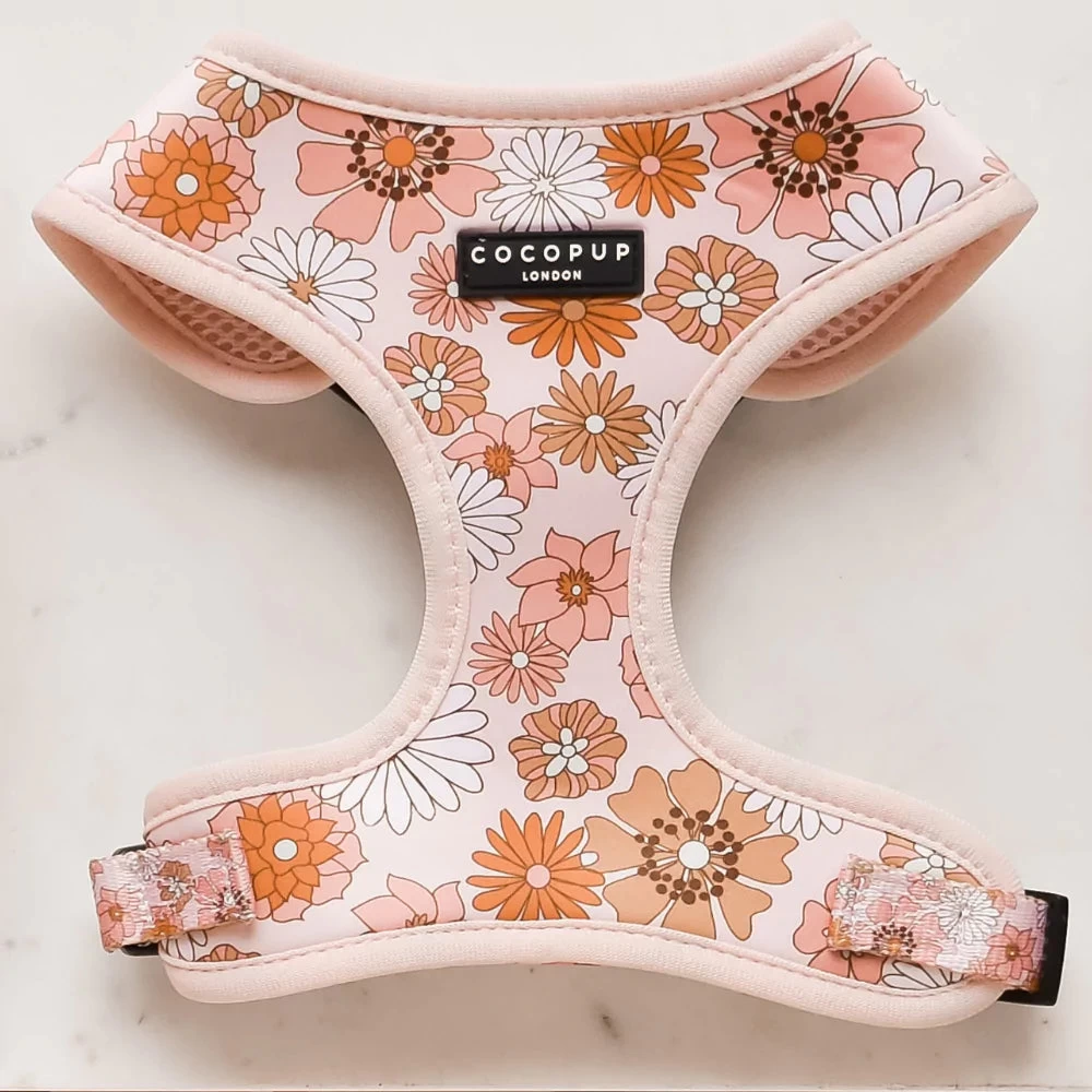 Groovy Florals Adjustable Neck Harness, Lead & Collar Bundle 4 Groovy Florals Adjustable Neck Harness, Lead & Collar Bundle - Image 2