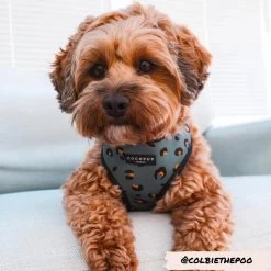 Khaki Leopard Adjustable Neck Harness, Lead & Collar Bundle -Cocopup London 1 1800x1800 4ed55ce7 0c65 4256 8a7e fe1ba5f6f6f2