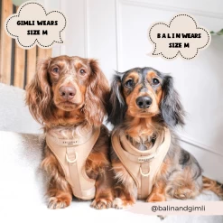 NAKD Adjustable Neck Harness - Biscuit -Cocopup London 1 27515803 50c1 42b1 b107 4f51ad315655