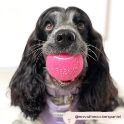 Tennis Ball - Playful Pink -Cocopup London 1 3a951d16 f2ee 4f4a b1b3 16ef2952c2d7