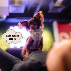 NAKD Adjustable Neck Harness - Parma Violets -Cocopup London 1 561b6be7 30ae 4b94 ac5c 36efe696e051