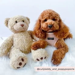 Teddy Adjustable Neck Harness - Rupert -Cocopup London 1 5eda32a2 754f 4b74 a7a1 acbe0cf42681