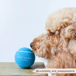 Tennis Ball - Bright Blue -Cocopup London 1 5f14495b f974 4413 ab2b 7c8e3424621f