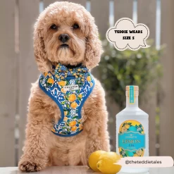 Amalfi Lemon Adjustable Neck Harness -Cocopup London 1 60687223 d5f1 45a2 90b4 6a580adecee8