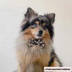 Ivory Tort Bow Tie -Cocopup London 1 63019fa5 bb21 4325 9cb7 683acde0a4a2