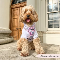 Pastel Flowers Adjustable Neck Harness -Cocopup London 1 6764d6cb 7d70 45ae 8802 6b2c73fd9d66
