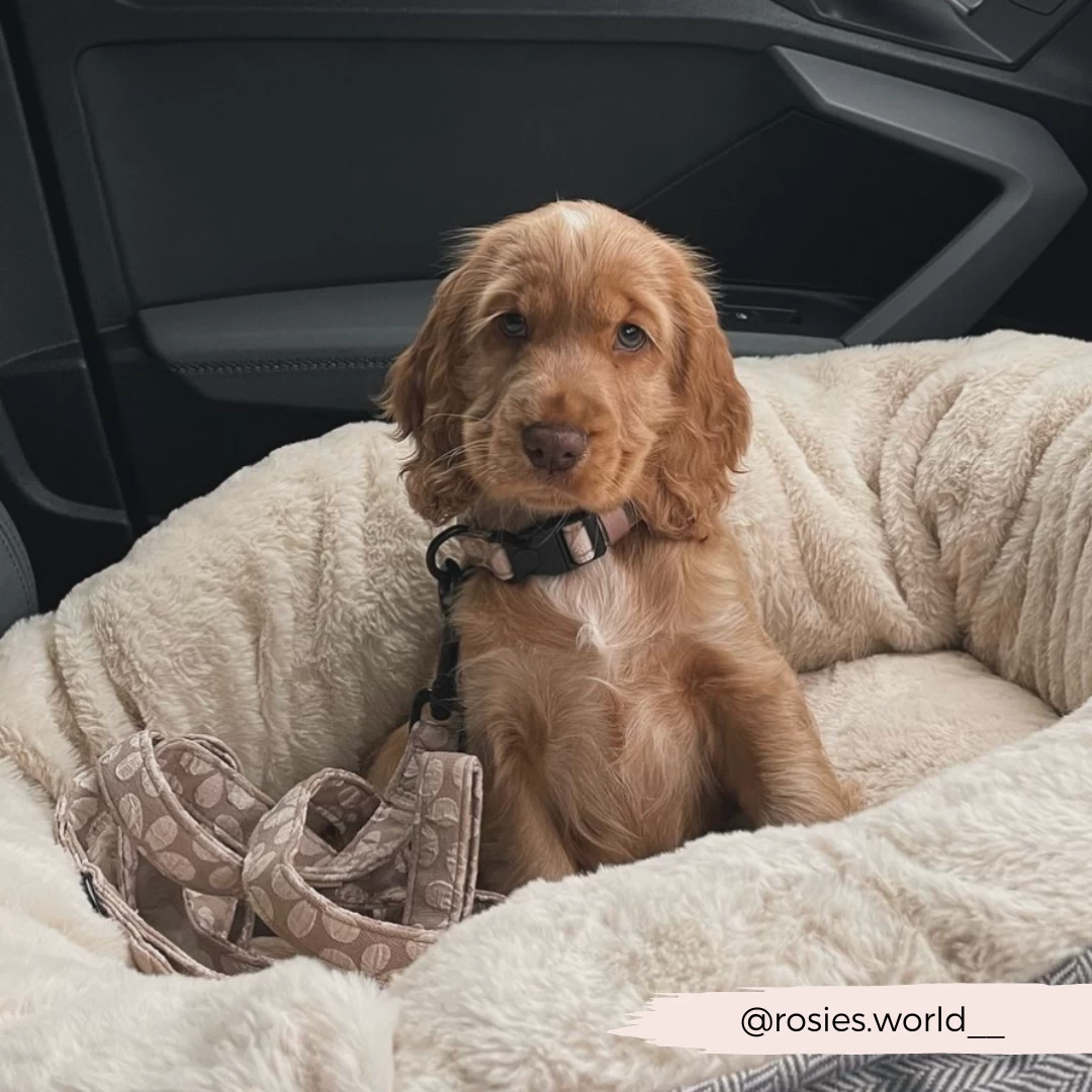 Luxe Lead - Mocha Flower 7 Luxe Lead - Mocha Flower - Image 5