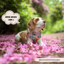 Portofino Pup Adjustable Neck Harness -Cocopup London 1 8bca7798 44e0 46c1 a518 eb61d4f478a1