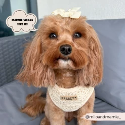 Festival Crochet Adjustable Neck Harness 41 Festival Crochet Adjustable Neck Harness -Cocopup London 1 a30253f4 7c50 4f0b 92bf 09c334e8883e