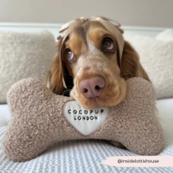 Teddy Rupert Bone Toy -Cocopup London 1 b4915e43 b324 4436 bd55 5058f90b8e34