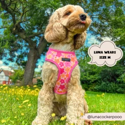 Summer Bloom Adjustable Neck Harness, Lead & Collar Bundle -Cocopup London 1 c8d55f15 b9f0 4808 bdc7 673fef14e3b4