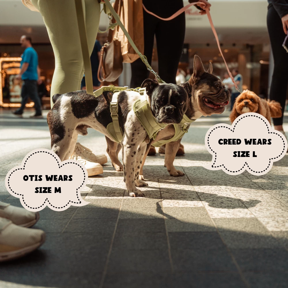 NAKD Adjustable Neck Harness - Matcha 14 NAKD Adjustable Neck Harness - Matcha - Image 12