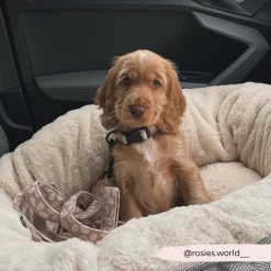 Luxe Collar - Mocha Flower 11 Luxe Collar - Mocha Flower -Cocopup London 1 fcee517f 201f 4606 bb1b 653a792e505e