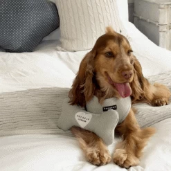 Sage Tweed Bone Toy 11 Sage Tweed Bone Toy -Cocopup London 1 fe1048fe 37ac 4d0e 86e0 336f410cfbe5