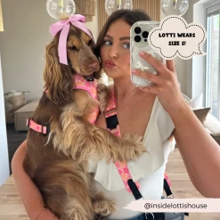 Dog Walking Bag Bundle - Summer Bloom 27 Dog Walking Bag Bundle - Summer Bloom -Cocopup London 200 364e52fa 0528 4e55 817d fed2ca17dc5e