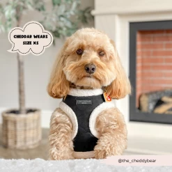 Black Aviator Adjustable Neck Harness, Lead & Collar Bundle -Cocopup London 2023Cocopupwebsitepics 10 fd1a3f2c d170 4c66 ae56 db77da425a49