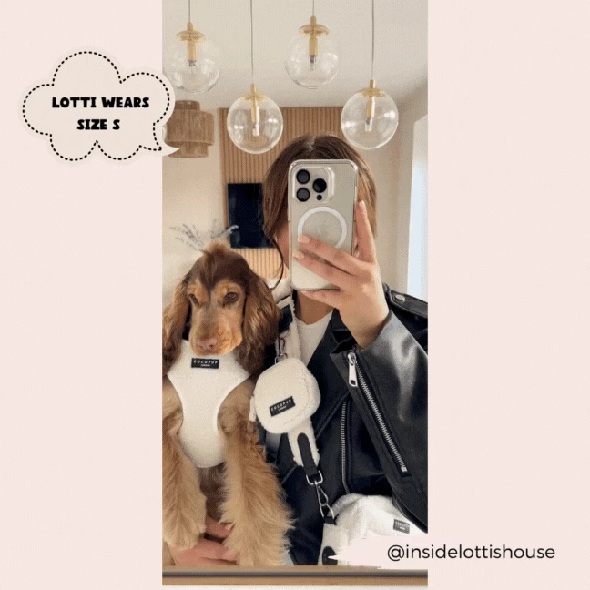 Teddy Dolly Dog Walking Bag Bundle - Teddy Dolly 12 Teddy Dolly Dog Walking Bag Bundle - Teddy Dolly - Image 10