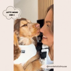 Teddy Dolly Adjustable Neck Harness, Lead & Collar Bundle -Cocopup London 2023Cocopupwebsitepics 14 21dce394 c426 41d2 b28b 20823348b8dd