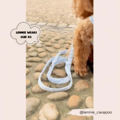 Luxe Baby Blue Flower Adjustable Neck Harness, Lead & Collar Bundle -Cocopup London 2023Cocopupwebsitepics 15 266f2e32 dee0 4ab6 9bb8 93655cfc4502