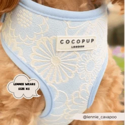 Luxe Baby Blue Flower Adjustable Neck Harness, Lead & Collar Bundle -Cocopup London 2023Cocopupwebsitepics 17 ccf9eda6 7552 447c bcce 518d8fc5d658