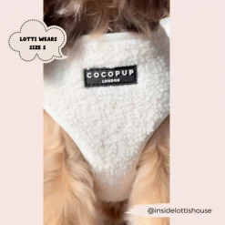 Teddy Dolly Adjustable Neck Harness, Lead & Collar Bundle -Cocopup London 2023Cocopupwebsitepics 18 3eed06d1 cc76 41a1 bb59 855f70bfadc8