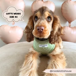 Luxe Sage Heart Adjustable Neck Harness, Lead & Collar Bundle -Cocopup London 2023Cocopupwebsitepics 18 94368bcd f9e3 455d 92a7 8ae25a2f5e5e
