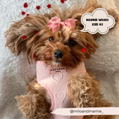 Luxe Adjustable Neck Harness - Baby Pink Heart -Cocopup London 2023Cocopupwebsitepics 21