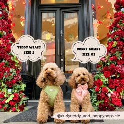 Luxe Adjustable Neck Harness - Baby Pink Heart -Cocopup London 2023Cocopupwebsitepics 23 758e5a7d 82dc 4f15 8b63 23904b10f3d8