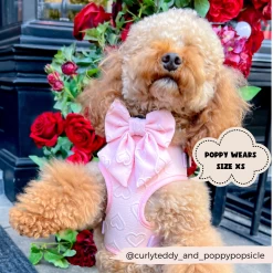 Luxe Adjustable Neck Harness - Baby Pink Heart -Cocopup London 2023Cocopupwebsitepics 24 aff06157 bc9e 481b 82eb 32bf39cd7312