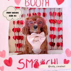 Luxe Sailor Bow Tie - Baby Pink Heart 20 Luxe Sailor Bow Tie - Baby Pink Heart -Cocopup London 2023Cocopupwebsitepics 33