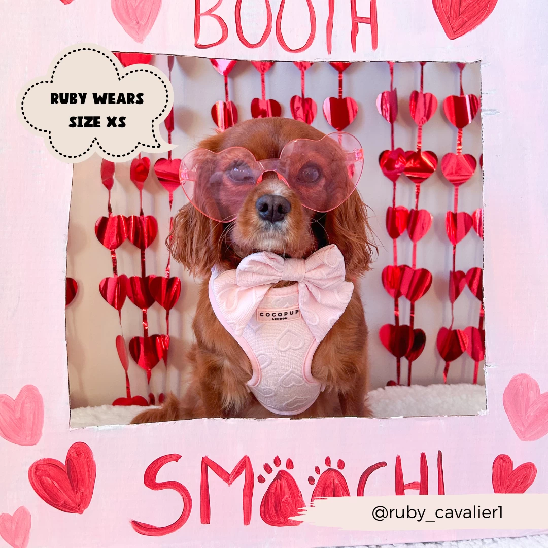 Luxe Sailor Bow Tie - Baby Pink Heart 11 Luxe Sailor Bow Tie - Baby Pink Heart - Image 9