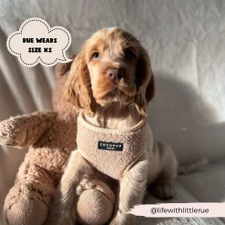 Teddy Adjustable Neck Harness - Rupert -Cocopup London 2023Cocopupwebsitepics 35