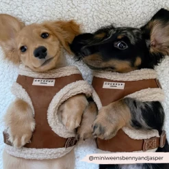 Brown Aviator Adjustable Neck Harness, Lead & Collar Bundle -Cocopup London 2023Cocopupwebsitepics 36 dc1e394b eae0 492a b7ac 25180ee88ab0