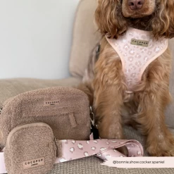 Nude Chic Leopard Adjustable Neck Harness, Lead & Collar Bundle -Cocopup London 2023Cocopupwebsitepics 43 71bde1e8 4465 4e0a 83ab 185ac5f2de12