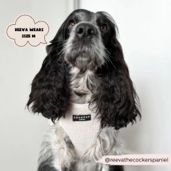 Teddy Adjustable Neck Harness - Dolly -Cocopup London 2023Cocopupwebsitepics 48