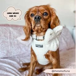 Teddy Dolly Adjustable Neck Harness, Lead & Collar Bundle -Cocopup London 2023Cocopupwebsitepics 51 69eb598e bac9 406f a646 a71c6c12b020