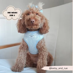 Luxe Adjustable Neck Harness - Baby Blue Flower -Cocopup London 2023Cocopupwebsitepics 53 45071502 a73c 41e9 9ccb 7a2871d72632
