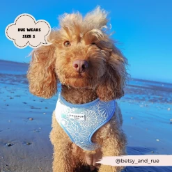 Luxe Adjustable Neck Harness - Baby Blue Flower -Cocopup London 2023Cocopupwebsitepics 54 8a488a5c 73bf 4a49 9779 ad6225d4640e