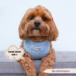 Luxe Adjustable Neck Harness - Baby Blue Flower -Cocopup London 2023Cocopupwebsitepics 57 3fdea938 c716 4767 991f deae4506950d