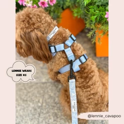Luxe Adjustable Neck Harness - Baby Blue Flower -Cocopup London 2023Cocopupwebsitepics 58 3847f7de f8f8 46ac b029 6e9a780154d9