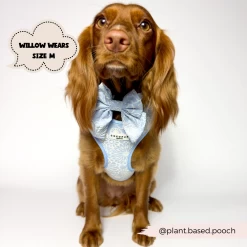 Luxe Baby Blue Flower Adjustable Neck Harness, Lead & Collar Bundle -Cocopup London 2023Cocopupwebsitepics 59 cdb4c7f2 9317 4602 8060 8ab7203816e7