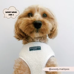 Teddy Dolly Adjustable Neck Harness, Lead & Collar Bundle -Cocopup London 2023Cocopupwebsitepics 60 6abbca9a d325 42d6 bb0e f60062fbaaea