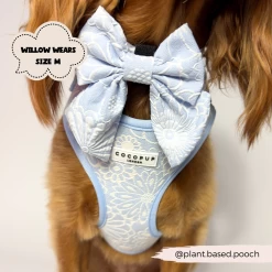 Luxe Sailor Bow Tie - Baby Blue Flower -Cocopup London 2023Cocopupwebsitepics 61 acd63251 b190 4cdd bd25 79b775710e18