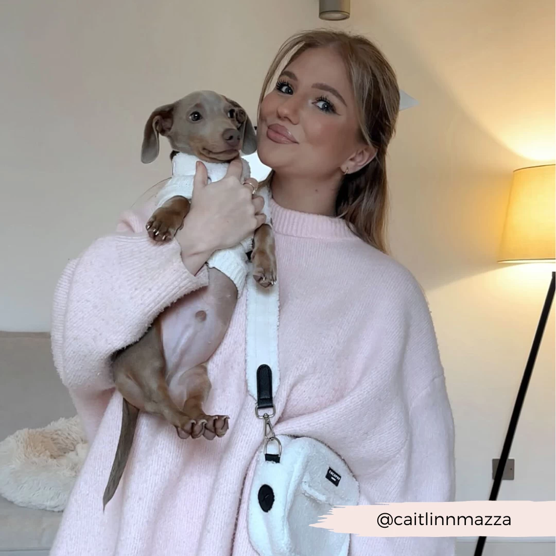 Dog Walking Bag - Teddy Dolly 13 Dog Walking Bag - Teddy Dolly - Image 11