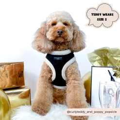 Black Aviator Adjustable Neck Harness, Lead & Collar Bundle -Cocopup London 2023Cocopupwebsitepics 6 9901c207 fb59 4694 899a 8c5059246928